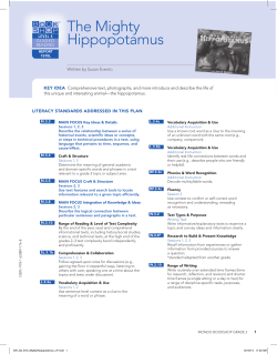 The Mighty hippopotamus