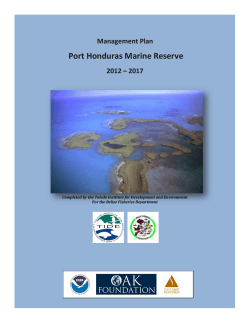 Port Honduras Marine Reserve Management Plan