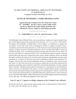 STATE OF TENNESSEE v. JAMES MICHAEL FLINN
