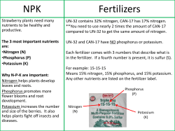 NPK Fertilizers