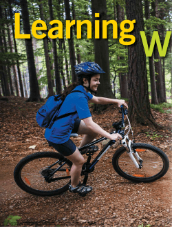 Learning What Works: Promoting Small