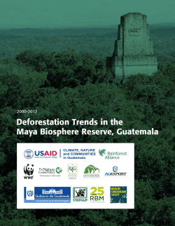 Deforestation Trends in the Maya Biosphere Reserve, Guatemala