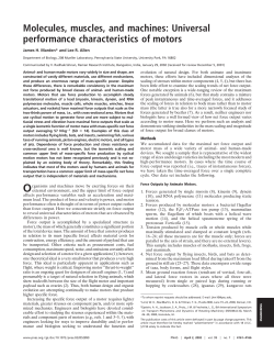 Molecules, muscles, and machines: Universal performance