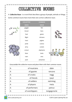 Lizard Learning Collective Nouns L