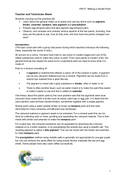 Teacher and Technician Sheet