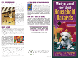 OTHER HOUSEHOLD HAZARDS HOLIDAY HAZARDS A SPECIAL