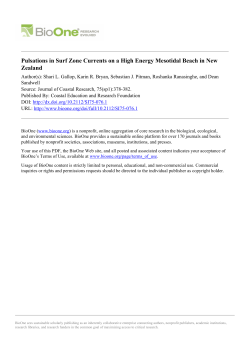 Pulsations in Surf Zone Currents on a High Energy Mesotidal Beach