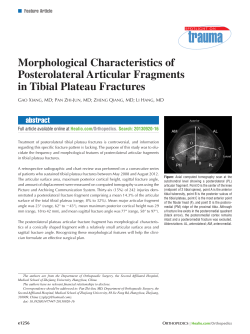Morphological Characteristics of Posterolateral Articular