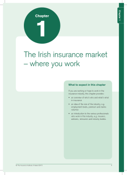 The Irish insurance market &ndash; where you work