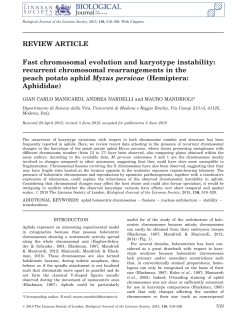 Fast chromosomal evolution and karyotype instability