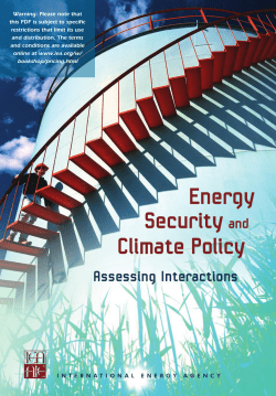 Energy Security and Climate Policy &ndash; Assessing Interactions