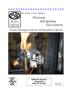 Electronic Gas Troubleshooting Guide