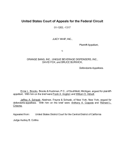 Federal Circuit Court Decisions / Juicy Whip v. Orange Bang