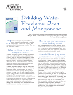 Drinking Water Problems: Iron and Manganese