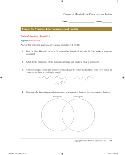 Active Reading Guidefor CAMPBELL BIOLOGY: Concepts