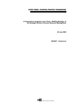 lever three&mdash;staffing strategy framework