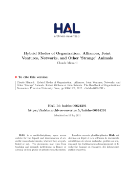 Hybrid Modes of Organization. Alliances, Joint