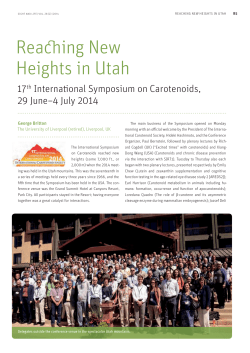Reaching New Heights in Utah