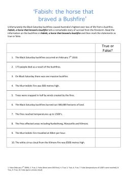 Fabish: the horse that braved a Bushfire