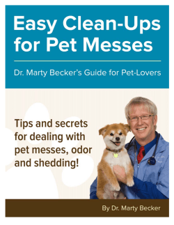 free e-book - Dr. Marty Becker
