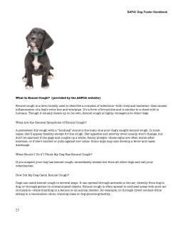 Kennel Cough - San Antonio Pets Alive