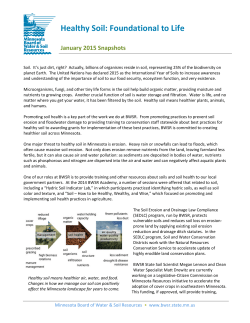 Healthy Soil: Foundational to Life