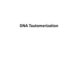 DNA Tautomerization