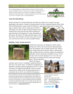 Snake Breeding Biology Snakes reproduce by internal fertilization