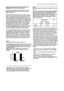 effect of trampling on photosynthesis and respiration in plantago