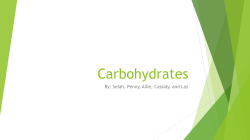 Carbohydrates - Old Saybrook Public Schools