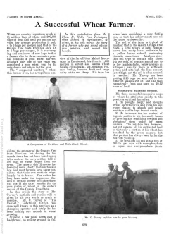 A Successful Wheat Farmer.