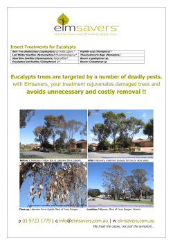Insect Treatments for Eucalypts PDF factsheet