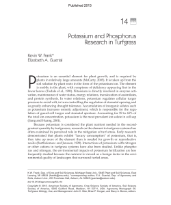 Potassium and Phosphorus Research in Turfgrass