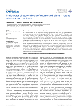 Underwater photosynthesis of submerged plants &ndash; recent advances