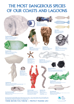 The most dangerous species of our coasts and lagoons