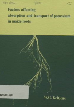 Factors affecting absorption and transport of potassium in maize