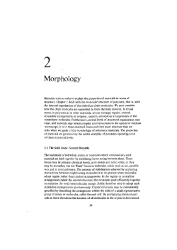Ch 2 Morphology