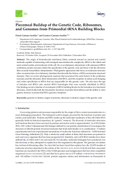 Piecemeal Buildup of the Genetic Code, Ribosomes, and Genomes