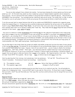 Zoology (080908 - 1 - Lab - Dichotomous Key