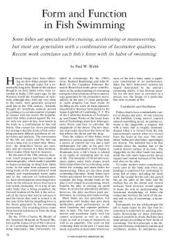 Form and Function in Fish Swimming