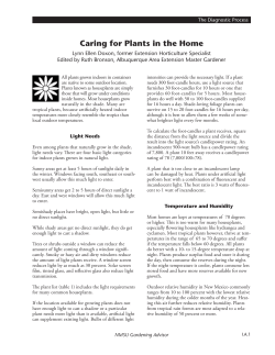 Caring for Plants in the Home