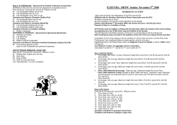 2008 Horses in Action - Program