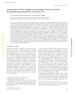 Juxtaposition of the changes in intracellular calcium and force