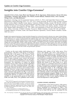 Insights into Conifer Giga-Genomes