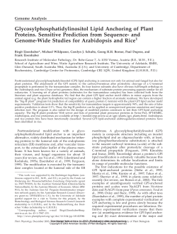 Glycosylphosphatidylinositol Lipid Anchoring of