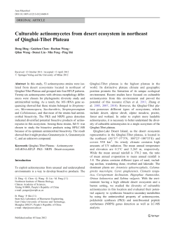 Culturable actinomycetes from desert ecosystem in northeast of