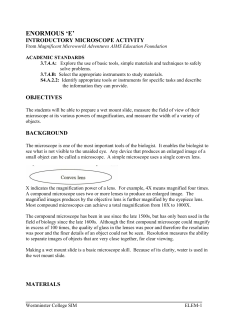 enormous `e` - Westminster College