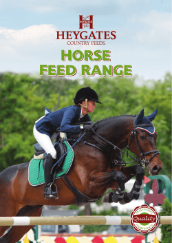 Heygates horse feeds brochure.