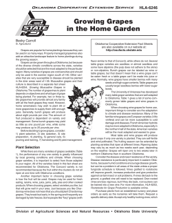 Growing Grapes in the Home Garden - OSU Fact Sheets