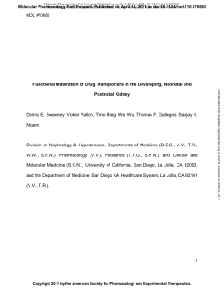Functional Maturation of Drug Transporters in the Developing